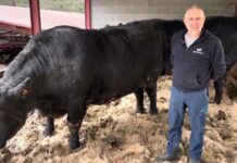 Entrevista a Manuel Álvarez Fernández de Ganadería Baldomero de El Prado (Tineo)