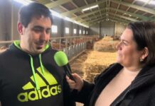 Entrevista a Manuel Peláez Traviesa, ganadería La Aldea S.C. de Piedra (Llanes)