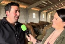 Entrevista a Jairo Feito de Casa Matoño de Calavero (Illas)