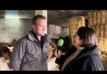 Entrevista a Pablo Ramos Pérez de Ganadería Los Ramos de Porrúa (Llanes)