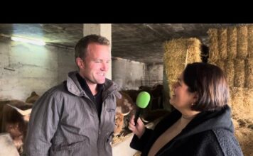 Entrevista a Pablo Ramos Pérez de Ganadería Los Ramos de Porrúa (Llanes)