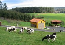 Medio Rural realiza un nuevo pago de 600.000 euros de ayudas de la Política Agraria Común de 2023