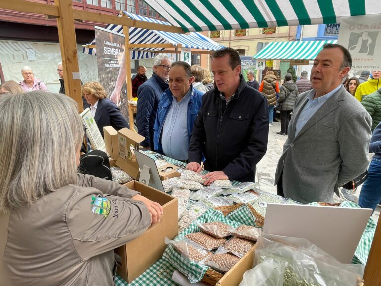 El Gobierno de Asturias resalta la importancia del plan ‘Incorpórate al agro’ para potenciar la producción de faba, que superó las 219 toneladas durante el último año