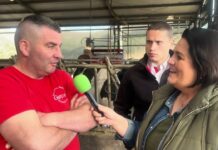 Entrevista a Javier Marcos de ganadería Sola de Guiar (Vegadeo)