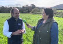 Entrevista a Dani Baizán, asesor técnico comercial de Delagro sobre Blue Star Maiz