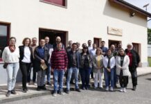 Emisiones y absorciones de gases de efecto invernadero en el sector agroganadero