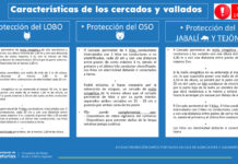 Medio Rural amplía hasta el 14 de junio el plazo de solicitud de ayudas para medidas de protección frente a ataques de fauna salvaje