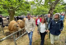 El Gobierno de Asturias abona un nuevo pago de 2,6 millones de ayudas directas de la PAC