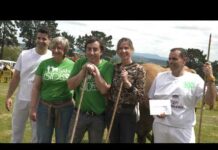 Concurso de Arrastre de Bueyes en La Feria de San Isidro de Llanera