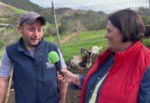 Entrevista a Adrián Fernández de Ganadería Fernández de Mones (Valdés)