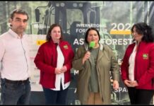 Entrevista sobre Asturforesta 2025, presentación de su imagen de promoción