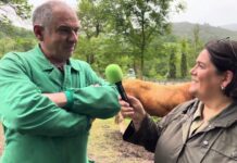 Entrevista a Francisco Aramburu, ganadero y carnicero en la Feria de Corao