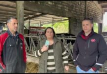 Entrevista a José Luis García González de Ganadería La Braña S.C. de Lamadrid (Cantabria)