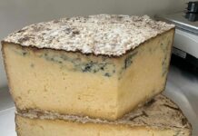 El Gamonéu mantendrá su identidad con un fermento autóctono