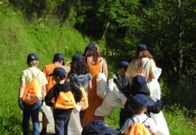 Cogersa y 39 ayuntamientos organizan limpiezas de residuos con voluntariado en zonas naturales