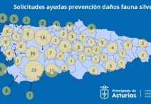 El Principado recibe 200 solicitudes de ayuda para adoptar medidas de prevención frente a la fauna salvaje