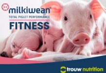 Nace Milkywean Fitness, la respuesta nutricional de Trouw Nutrition para hacer frente al PRRSS