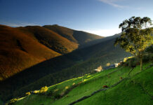 El Gobierno de Asturias subraya el “valor esencial” de los fondos europeos de la PAC para las rentas de agricultores y ganaderos