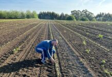 Sergio Suárez: “Para incorporarse a una actividad nueva es necesaria formación y saber gestionar la profesión”
