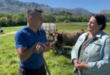 Entrevista a Fernando Romano Noriega, ganadero de Parres (Llanes)