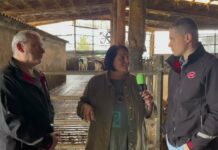 Entrevista a Óscar Gayol Alonso, titular de la Ganadería Cotarello (El Franco)