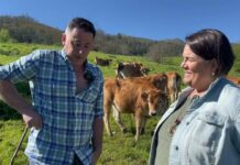 Entrevista a Manuel Collado González, ganadero de Panes (Peñamellera Baja)