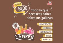 Camper amplia su comunidad de criadores de gallinas en casa