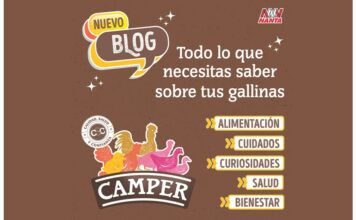 Camper amplia su comunidad de criadores de gallinas en casa