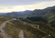 Medio Rural licita por 234.000 euros la repoblación de montes de utilidad pública en Nava, Villaviciosa, Sariego y Cabranes