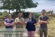 Entrevista en Ganadería Los Javieres S.C. de Camás (Cabranes)