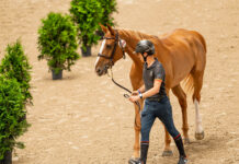 Ya ha arrancado la competición en el Concurso de Saltos Internacional de Maeza