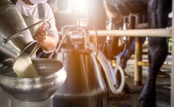 El Ejecutivo aclara que la redacción de la norma para la adaptación ambiental de instalaciones ganaderas sigue en marcha