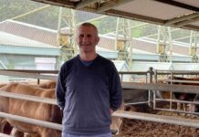 Amable Fernández: “Es necesario volver a poner en valor a ASEAVA y la marca 100% Raza Autóctona”