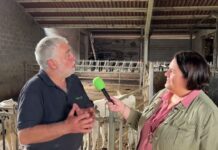 Entrevista a Fernando Marrón, ganadero y coordinador de USAGA