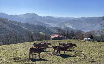 El sector agrario recibe casi 88 millones en ayudas de la campaña 2023 de la PAC