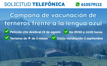 Abre el plazo para la 2ª fase de vacunación frente a la lengua azul, que comienza el 2 de septiembre