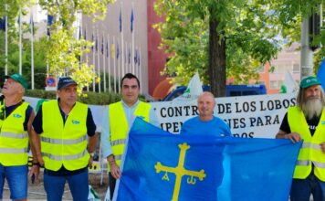 Unión de Uniones critica la inoperancia de las administraciones y reclama medidas para proteger a los ganaderos de los ataques del lobo