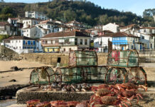 La Mar de Tazones, la nueva marca asturiana de conservas de marisco con presencia internacional