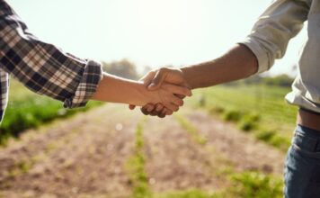 El Banco de Tierras apoya la continuidad de las explotaciones agrícolas familiares con ayudas de hasta 65.000 euros