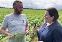 Entrevista a Sergio Suárez, pte. de IGP Faba Asturiana y Verdina Marca de Garantía