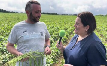 Entrevista a Sergio Suárez, pte. de IGP Faba Asturiana y Verdina Marca de Garantía
