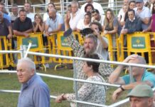 SUBASTA DE GANADO DE ÉLITE DE LLANERA 2024