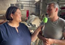 Entrevista a Fermín Menéndez Coronas de Ganadería Menéndez Coronas de Cadavedo