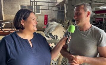 Entrevista a Fermín Menéndez Coronas de Ganadería Menéndez Coronas de Cadavedo