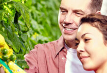 El Ministerio abre el plazo de solicitudes de estancias formativas del programa Cultiva 2024