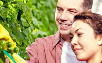 El Ministerio abre el plazo de solicitudes de estancias formativas del programa Cultiva 2024