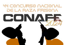 304 animales procedentes de 63 ganaderías, inscritos al 44º Concurso Nacional de la Raza Frisona CONAFE 2024