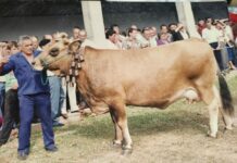 Villaviciosa estrena distinción en su concurso: Álvaro Egocheaga