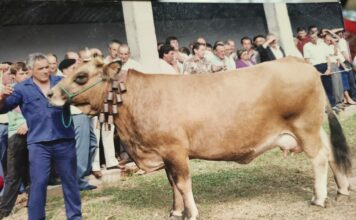 Villaviciosa estrena distinción en su concurso: Álvaro Egocheaga