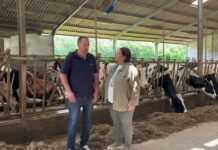 Entrevista a Noé González Tuero de Ganadería Lorda S.C. de San Justo (Villaviciosa)